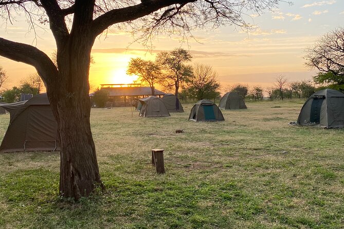 6 Days Private Budget Safari - Day Three: A Full Serengeti Game Drive