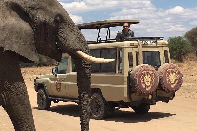 6 Days Private Budget Safari - Day Five: Descending Into Ngorongoro Crater