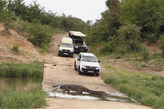 6 Days Private Camping Safari Serengeti, Ngorongoro, Lake Manyara and Tarangire - Key things to know before booking