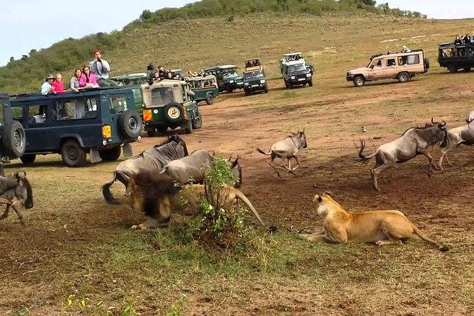 6 Days Private Camping Safari Serengeti, Ngorongoro, Lake Manyara and Tarangire - Day 5: Inside Ngorongoro Crater