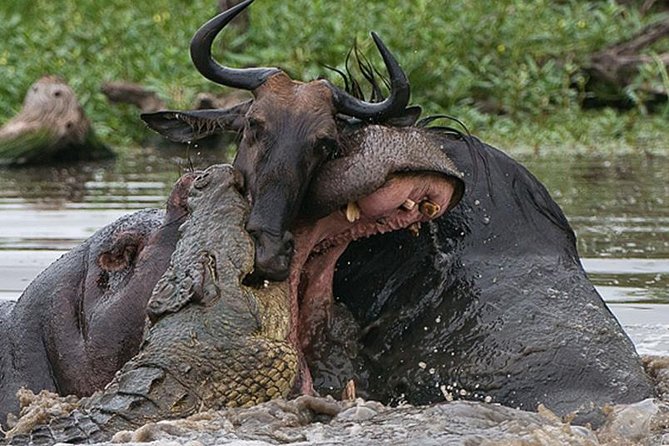 6 Days Private Camping Safari Serengeti, Ngorongoro, Lake Manyara and Tarangire - Camping, food, and daily comfort