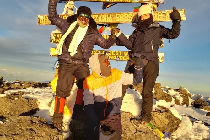 6 Days Private Mount Climbing in Kilimanjaro Machame Route - Day 6: Mweka Camp to the Gate and Back to Moshi