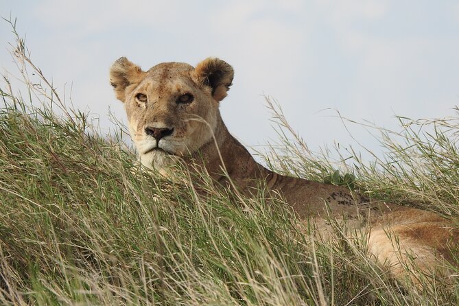 6 Days Private Safari with Mid-range Lodges or Camps - Day 3: Crossing Ngorongoro on the Way to Serengeti