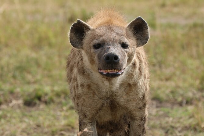 6-days Safari in Northern Tanzania - Day 3: A very early start at Lake Eyasi