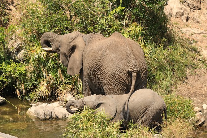 6-days Safari in Northern Tanzania - Day 6: Down into Ngorongoro Crater