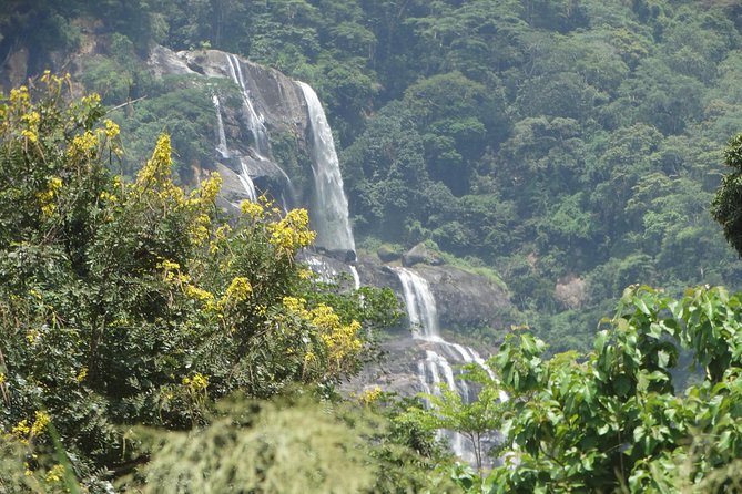 6 Days Safari to Udzungwa Mountain NP, Ruaha NP and Mikumi NP - Key points to know before booking