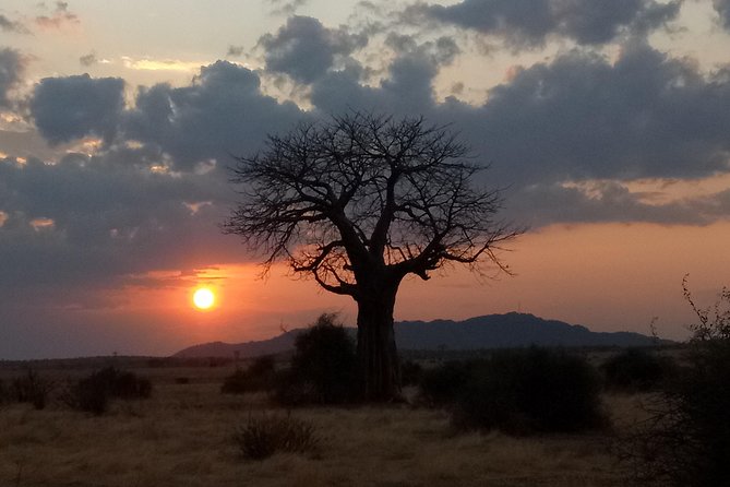 6 Days Safari to Udzungwa Mountain NP, Ruaha NP and Mikumi NP - What the $1,656 price includes