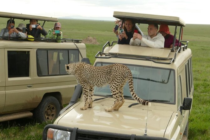 6 Days Tanzania Budget Camping Safari - Day 4: Sunrise departure and the road to Ngorongoro