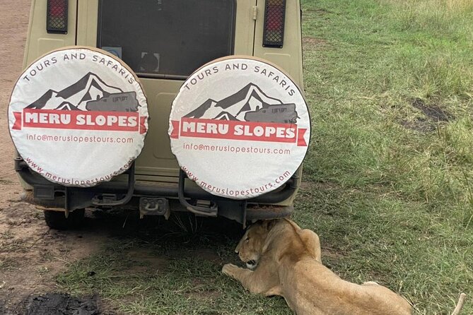 6 Days Tanzania Budget Camping Safari with Migration - What $1,650 buys you in northern Tanzania