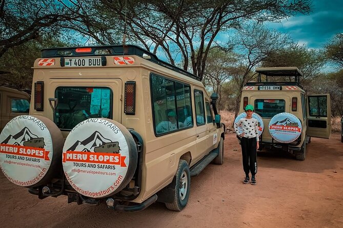 6 Days Tanzania Budget Camping Safari with Migration - Guides, cooks, and the practical safari experience
