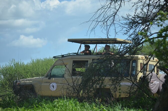 6 days Tanzania budget safari - Day 1: Tarangire’s elephants and wide game country