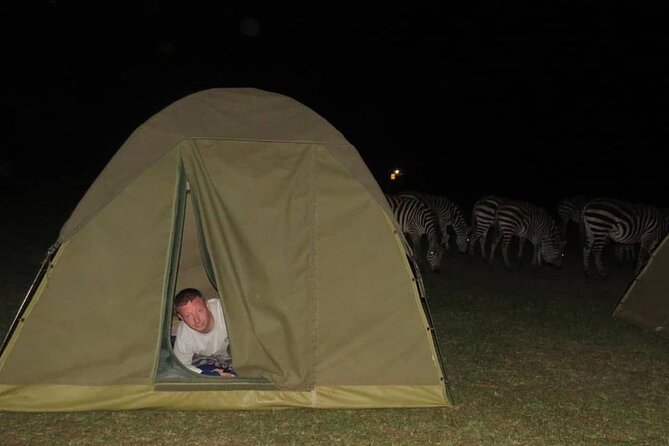 6 days Tanzania budget safari - Day 3: A full day searching beyond Seronera