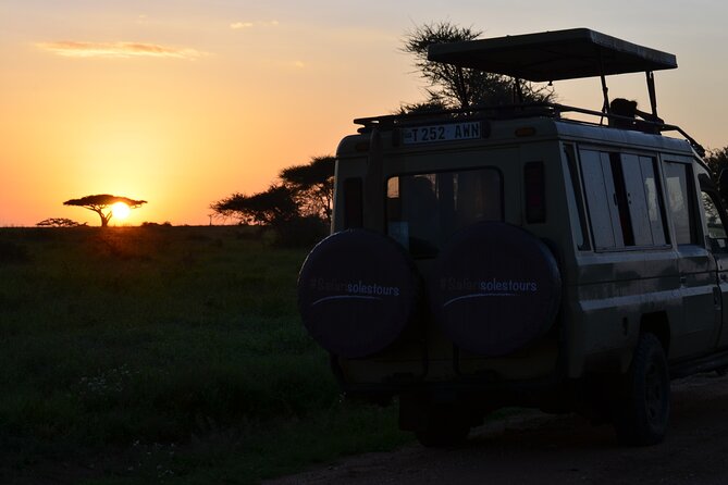 6 days Tanzania budget safari - Day 2: Ngorongoro views, Maasai culture, and the Serengeti sunset