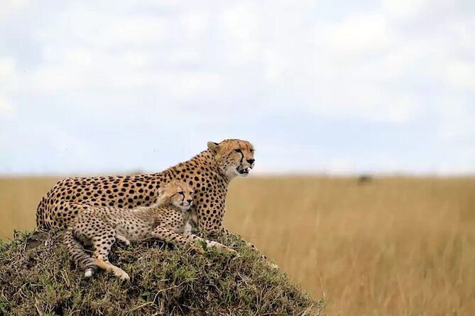 6 Days Tanzania Bush Experience Safari - What the $2,900 price includes