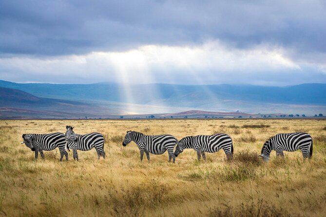 6 Days Tanzania Bush Experience Safari - Day 2: Hot springs, wildlife, and a Maasai boma