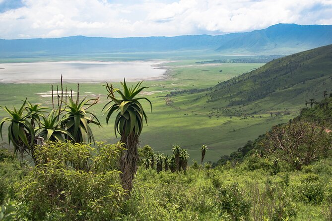6 Days Tanzania Classic Safari - Day 4: Central Serengeti in search of predators