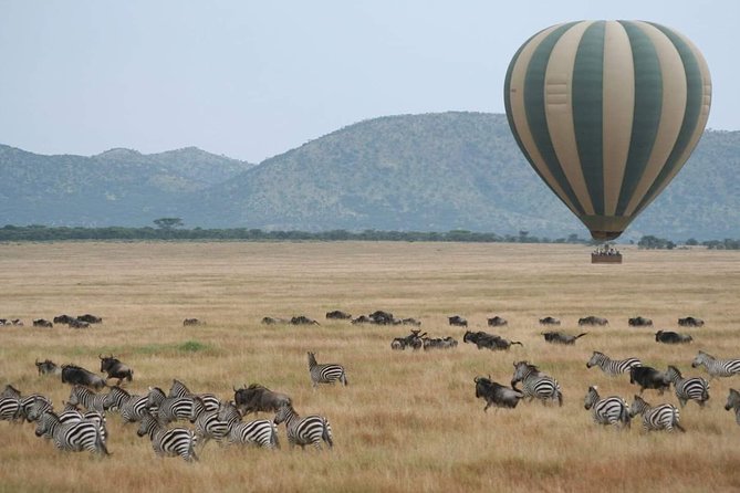 6 Days Tanzania Classic Safari - Day 2: Tarangire’s elephants and giant baobabs
