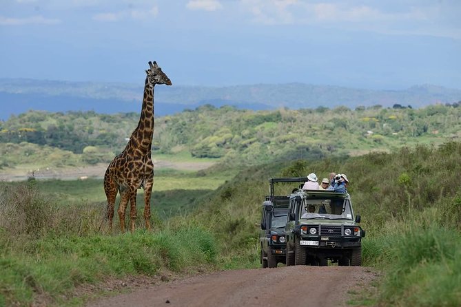6 Days Tanzania Luxury Safari Tour - Day 1: Lake Manyara and the first game drive