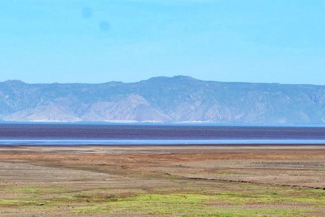 6 Days Tanzania Wildlife And Cultural Tour - Day 3: a full day in Serengeti National Park
