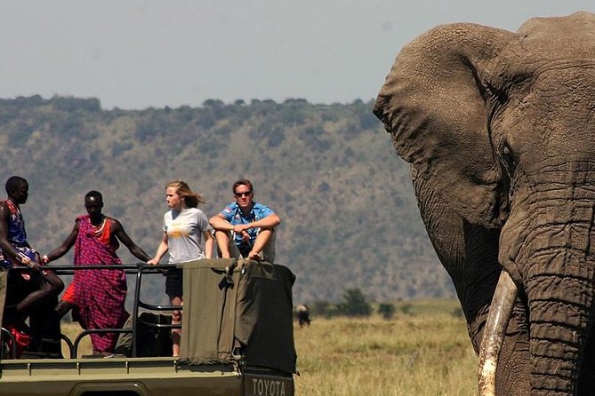6 Days Tanzania Wildlife Camping Safari - Day 1: Arriving in Arusha