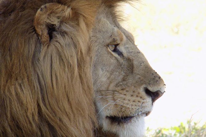 6 Days Tanzania Wildlife Safari Tour - Why this six-day route works