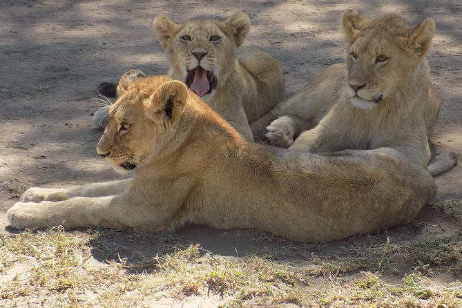 6 Days Tanzania Wildlife Safari Tour - What the $2,500 price really covers