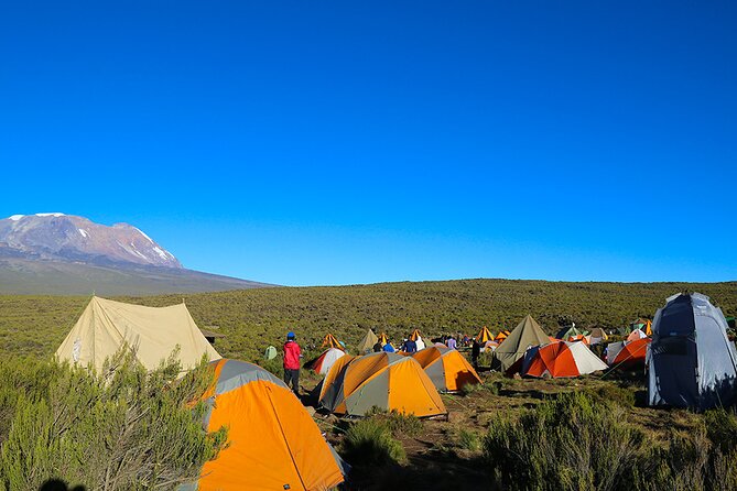 6 Days Trekking Marangu Route Mount Kilimanjaro - Day 2: Leaving the forest for Horombo Hut