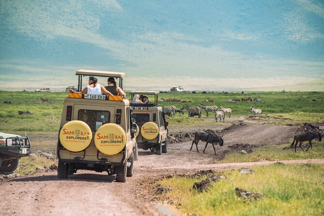 6-DayThe Best of Northern Tanzania Safari - What This Six-Day Route Does Well