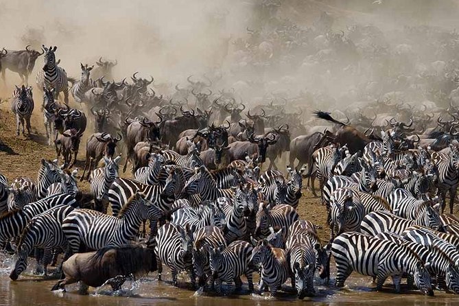 7 Day 6 nights Great Migration Classic Tanzania Safari - Key points about this seven-day Tanzania safari