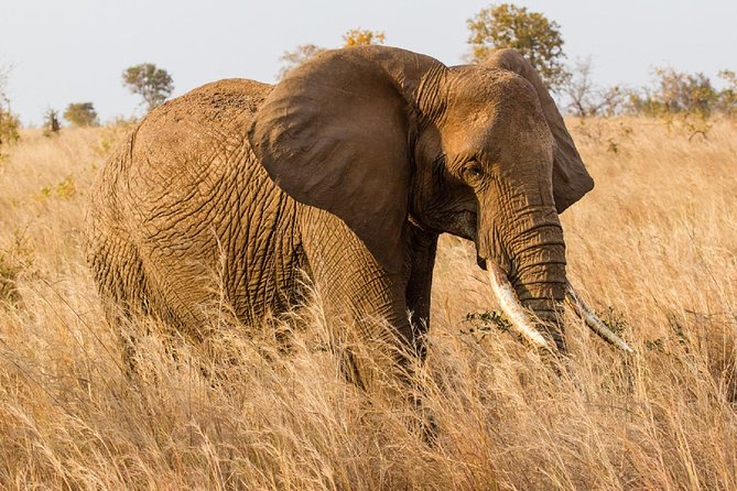 7-Day Great Migration Safari - Day 3: Crossing Into the Serengeti