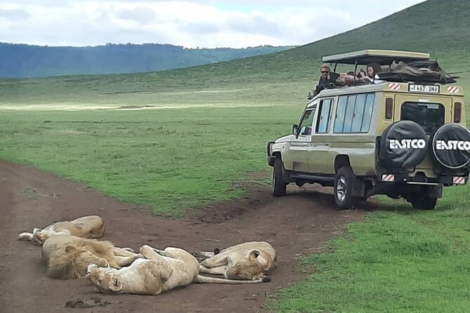 7-Day Great Migration Safari - Day 2: Lake Manyara and the Rift Valley Climb