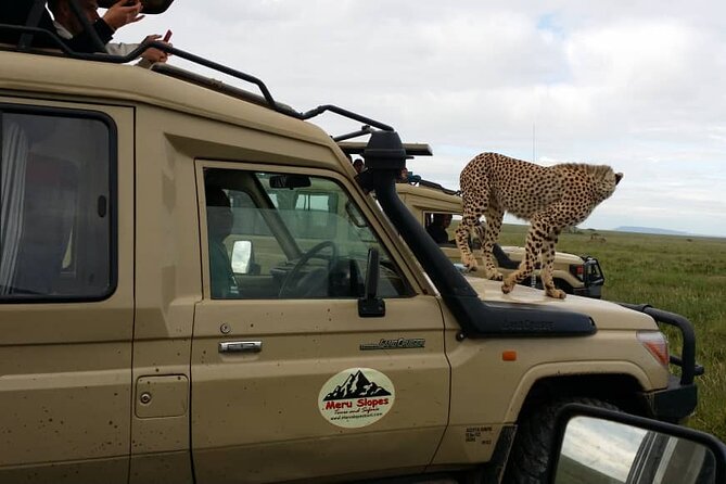 7-Day Group Camping Tarangire/Serengeti/Ngorongoro/lake Manyara - Day 1: Elephants and baobabs in Tarangire