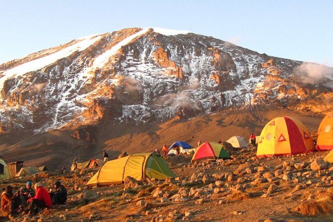7 Day: Hiking Kilimanjaro via Lemosho Route - Day 2: Through the forest to Shira Camp 2