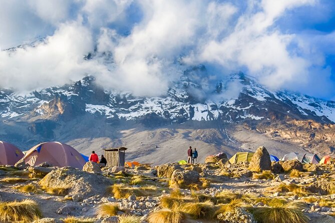 7 Day: Hiking Kilimanjaro via Lemosho Route - Day 6: Stella Point and Uhuru Peak