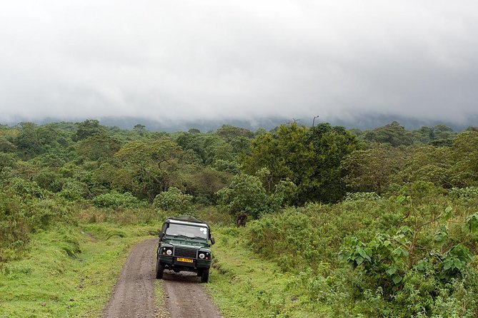 7 Day Joined Safari Serengeti,Ngorongoro,Manyara,Tarangire,Arusha National Park - Day 4: A sunrise Serengeti drive is worth the early alarm