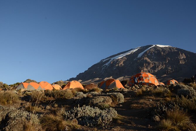 7-Day Kilimanjaro Hiking Tour via Machame Route - Key points to know before you book
