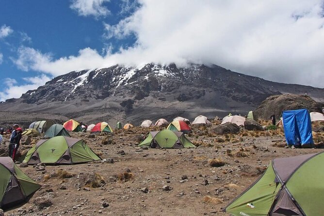 7-Day Kilimanjaro Hiking Tour via Machame Route - Day 2: Machame Camp to Shira Camp