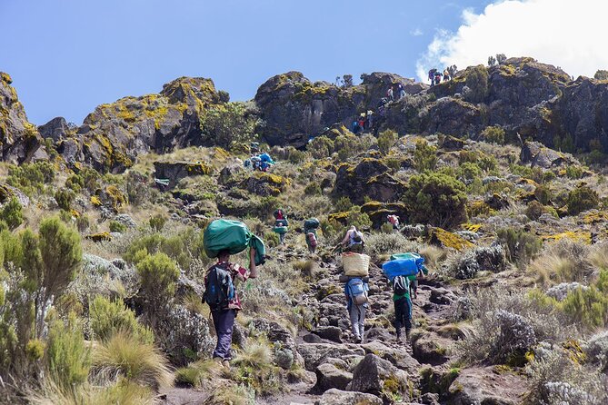7-Day Kilimanjaro Hiking Tour via Machame Route - Day 1: Machame Gate to Machame Camp