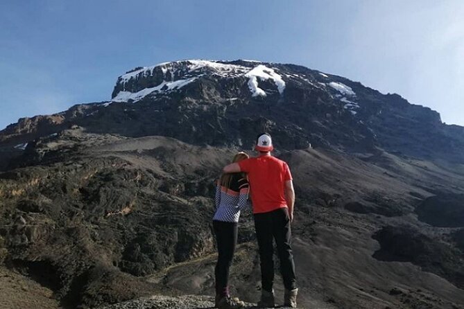 7-Day Machame Route Kilimajaro - Day 7: Descending through rainforest to Mweka Gate