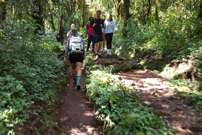 7-Day Mountain Climbing in Machame Route - What the $2,700 price really covers
