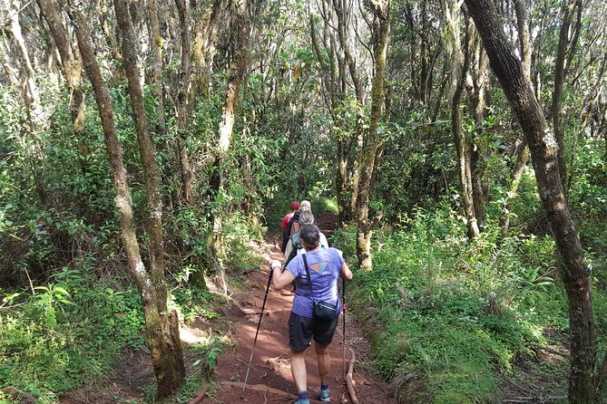 7-Day Mountain Climbing in Machame Route - Day 5: Barafu Camp and the wait for midnight