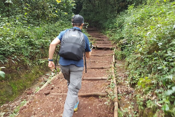 7-Day Mountain Climbing in Machame Route - Day 6: The midnight summit push