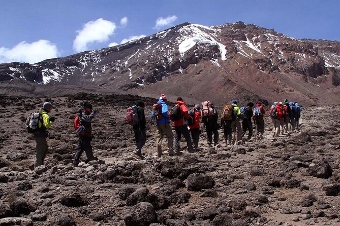 7-Day Mt. Kilimanjaro Hiking: Machame Route - Day 1: From Arusha to the wet Machame rainforest