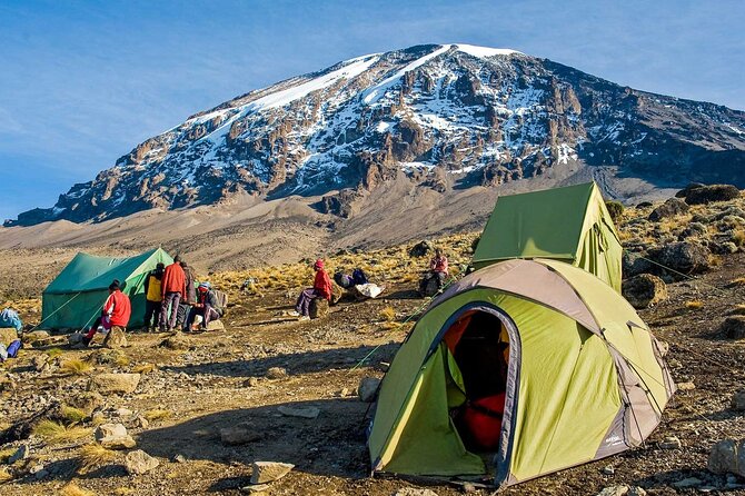 7-Day Mt. Kilimanjaro Hiking: Machame Route - Day 4: The Great Barranco Wall and a better rhythm