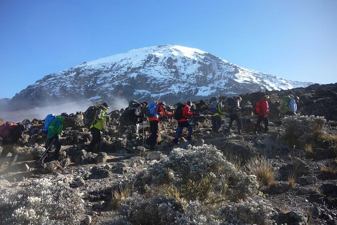 7-Day Mt. Kilimanjaro Hiking: Machame Route - Day 6: The midnight climb to Stella Point and Uhuru Peak