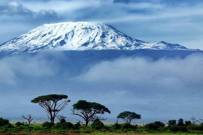 7-Day Mt. Kilimanjaro Hiking: Machame Route - Day 2: Climbing onto the Shira Plateau
