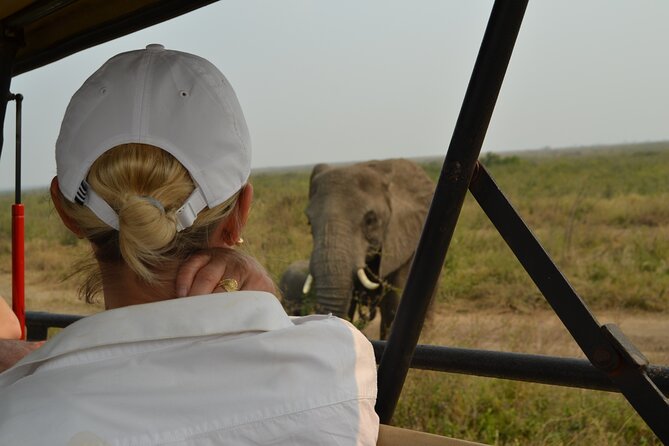 7-Day North Tanzania Classic Safari - Day 4: The rough road into the Serengeti