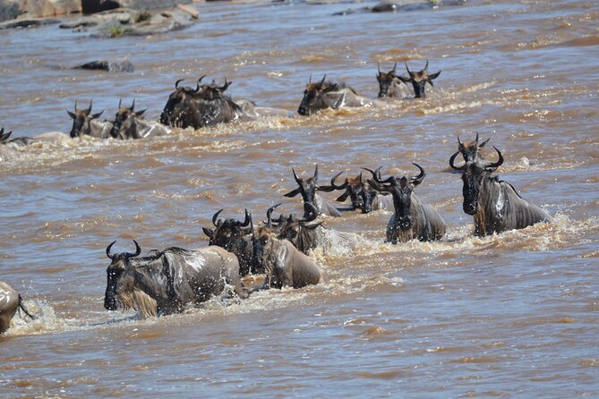 7-Day North Tanzania Classic Safari - Day 7: Returning to Arusha or an onward flight