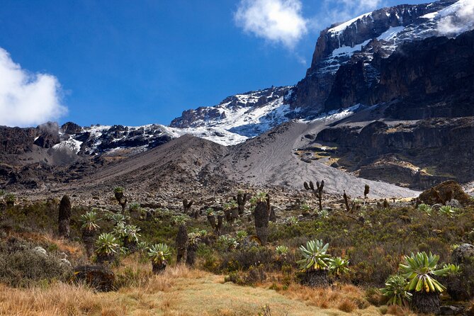 7-Day Private Kilimanjaro Hiking Tour via Machame from Arusha - Day 2: Moving from forest to the Shira Plateau
