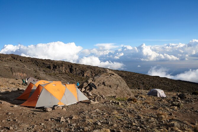 7-Day Private Kilimanjaro Hiking Tour via Machame from Arusha - Day 7: Forest descent to Mweka Gate